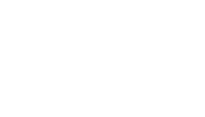 Logo Team Nissa Triathlon